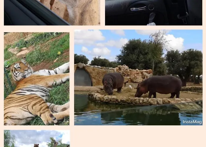 Frühstückspension Gl Sun Palace 3*